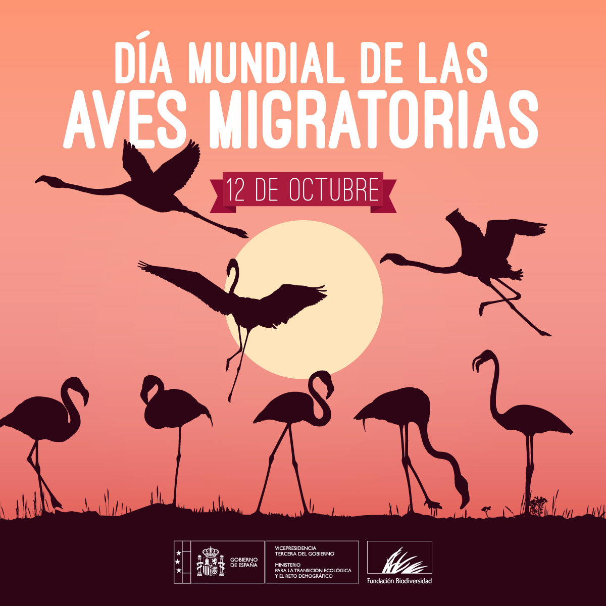 El 40% de las 200 especies de #AvesMigratorias presentes en España muestra signos evidentes de declive:

⚠️ Degradación del hábitat
⚠️ Colisiones en vuelo
⚠️ Envenenamiento
⚠️ #CambioClimático
⚠️ Contaminación lumínica

#DíaMundialDeLasAvesMigratorias #DíaDeLasAvesMigratorias