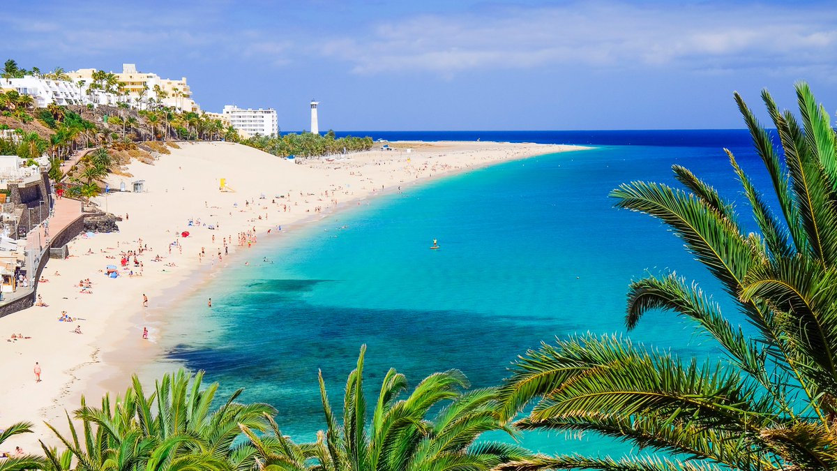 Schnäppchen-Alarm! 🤩 Hin- und Rückflug nach Fuerteventura mit Condor von November bis März 2025 ab 99 €: flug.idealo.de/flugroute/nach… 🥳💰

#Düsseldorf #Frankfurt #Köln #Leipzig #München #Nürnberg #Stuttgart #condorairlines #Fuerteventura #Kanaren #Billig #Deal #Schnäppchen #Urlaub