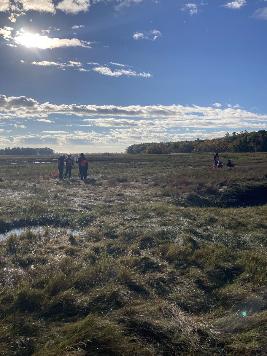 Dr. Tricia Thibodeau tweet media