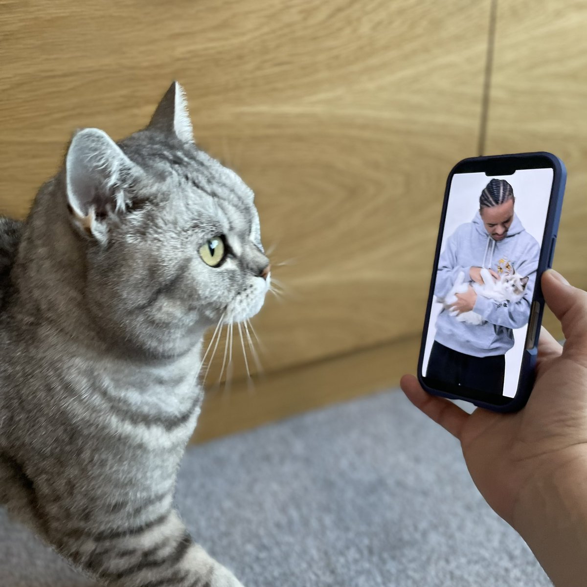 Dan Long tweet media