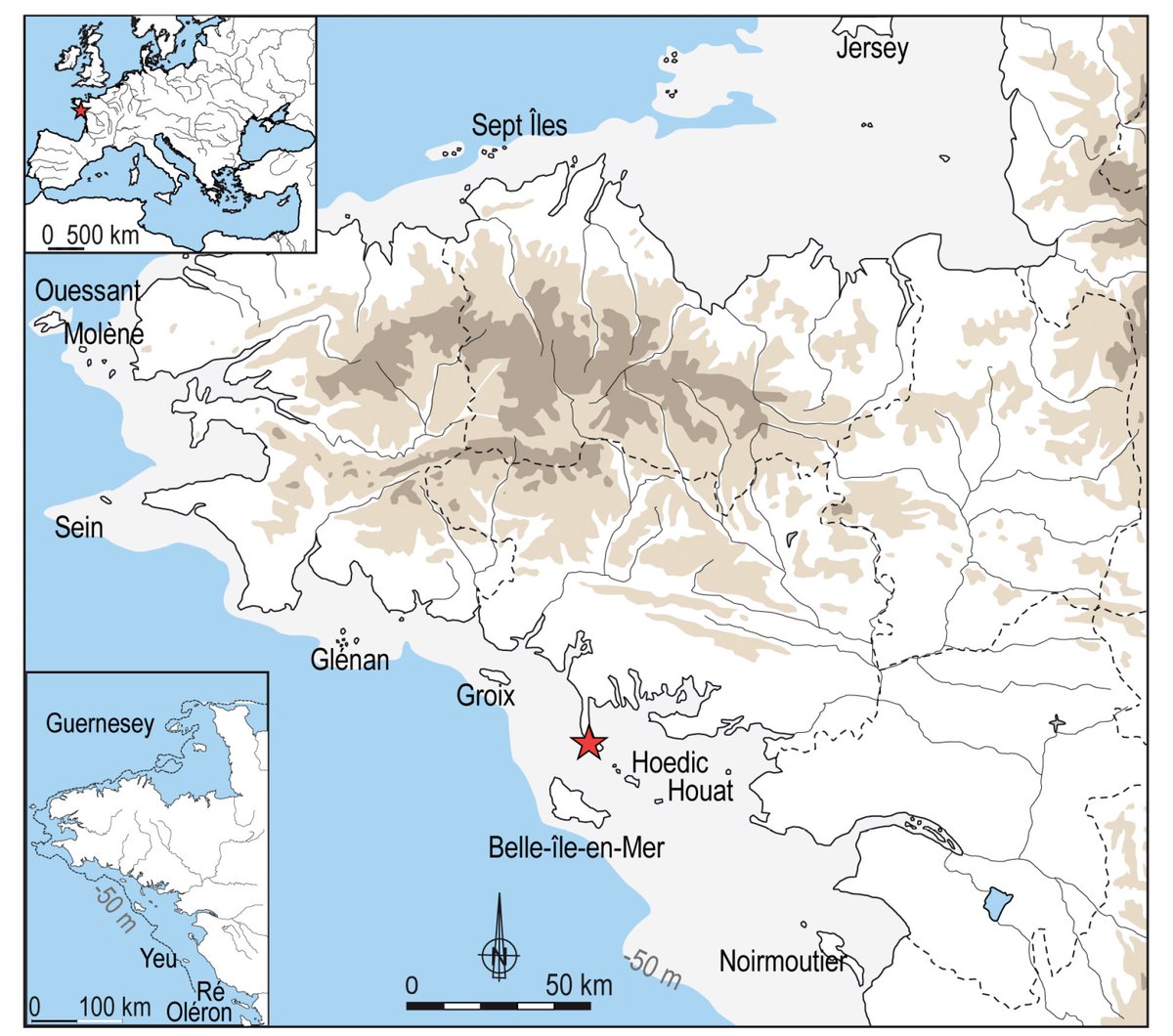 Société préhistorique française tweet media