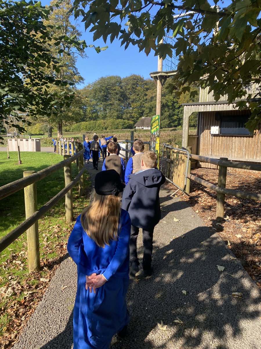 Rhws Primary School tweet media