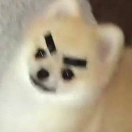 아귀야워ㅋㅋㅋㅋㅋㅋㅋㅋㅋㅋㅋㅋㅋㅋㅋㅋㅋㅋㅋㅋㅋㅋㅋㅋㅋㅋㅋㅋㅋㅋㅋㅋㅋㅋㅋㅋㅋㅋㅋㅋㅋㅋㅋㅋㅋㅋㅋㅋㅋㅋㅋㅋㅋㅋㅋㅋㅋㅋㅋㅋㅋㅋ