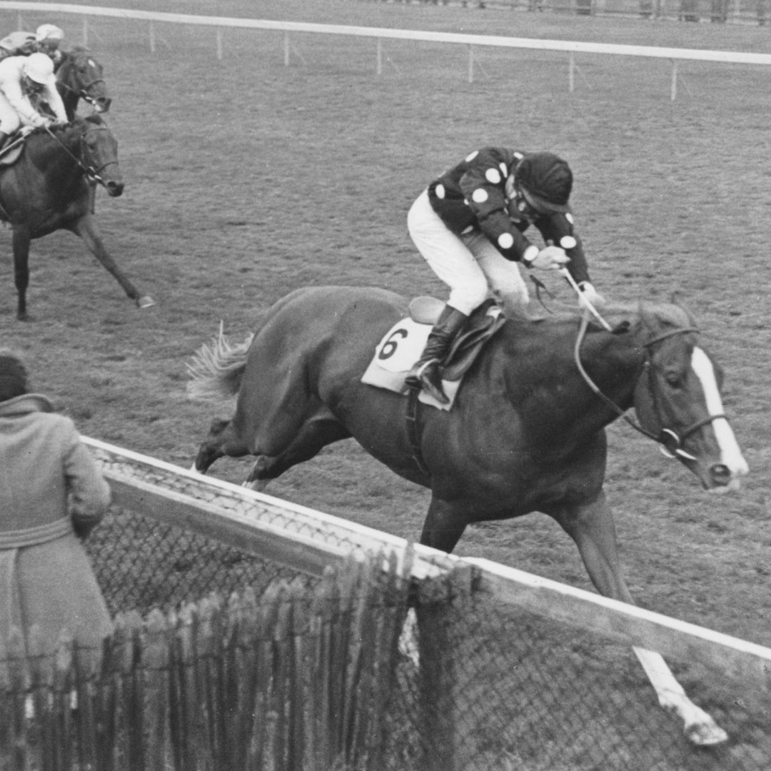 Did you know that the 1978 Dewhurst Stakes winner was trained at Palace House Stables?

Stephen Wallis from <a href="/ThePaddandPav/">The Paddock and The Pavilion</a> looks back at the short career of Tromos, a colt Bruce Hobbs believed would provide him with elusive first British classic success.
nhrm.co.uk/dewhurst-delig…