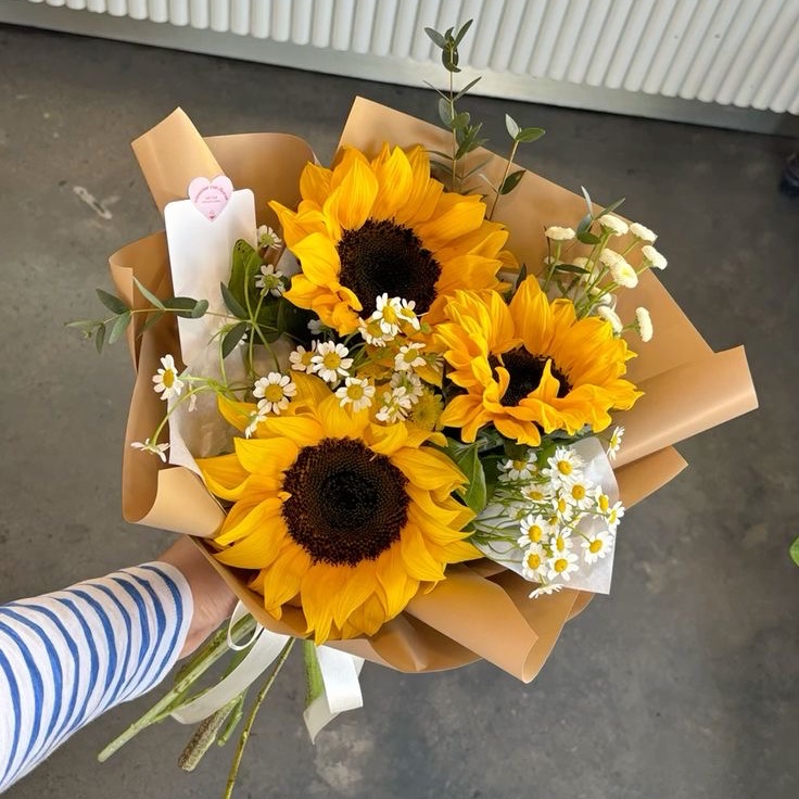 bringing light to every moment.