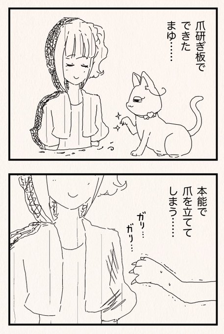 GZmuC_cbwAA0w_p.jpg:small