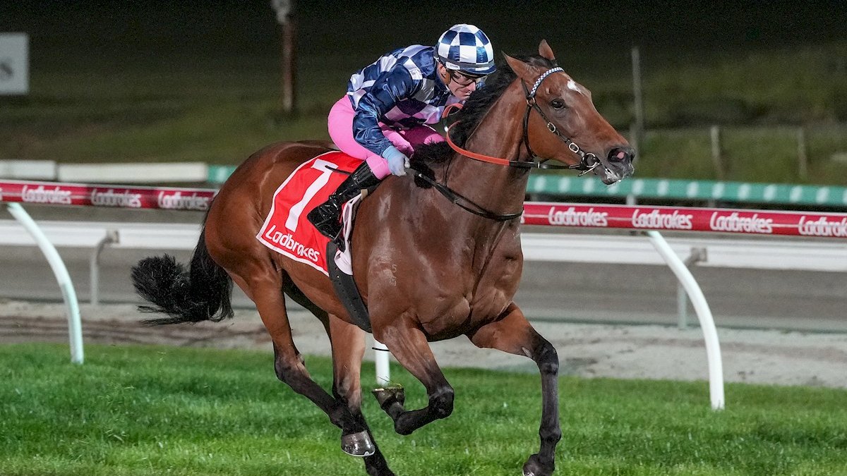 Southside Racing (@sthsideracing) on Twitter photo Congratulations to <a href="/BurkeNikkiburke/">Nikki Burke</a> and the connections of LIEVORE on winning the <a href="/NoFussEventHire/">No Fuss Event Hire</a> Pinker Pinker Plate!
#SouthsideRacing #SthsideRacing #SouthsideIsTheBestSide Congratulations to <a href="/BurkeNikkiburke/">Nikki Burke</a> and the connections of LIEVORE on winning the <a href="/NoFussEventHire/">No Fuss Event Hire</a> Pinker Pinker Plate!
#SouthsideRacing #SthsideRacing #SouthsideIsTheBestSide
