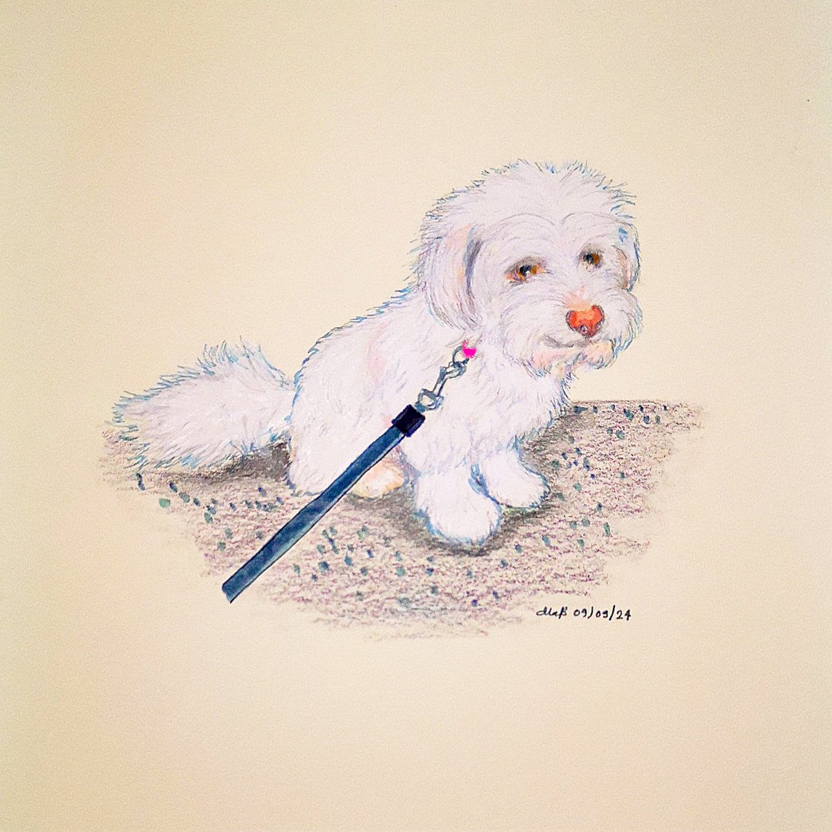 bouncebckbelle's tweet photo. This is Rosie, an adorable mixed breed with a heart-stealing aura. 🩷
I was commissioned again for a pet illustration for a fundraising raffle of a UK-based animal rescue group
Simply For Rescues, &amp; Rosie's the winner's pet. Her drawing is now in Scotland! 
#MarjDrawsDogs https://t.co/TavJZHdiZE