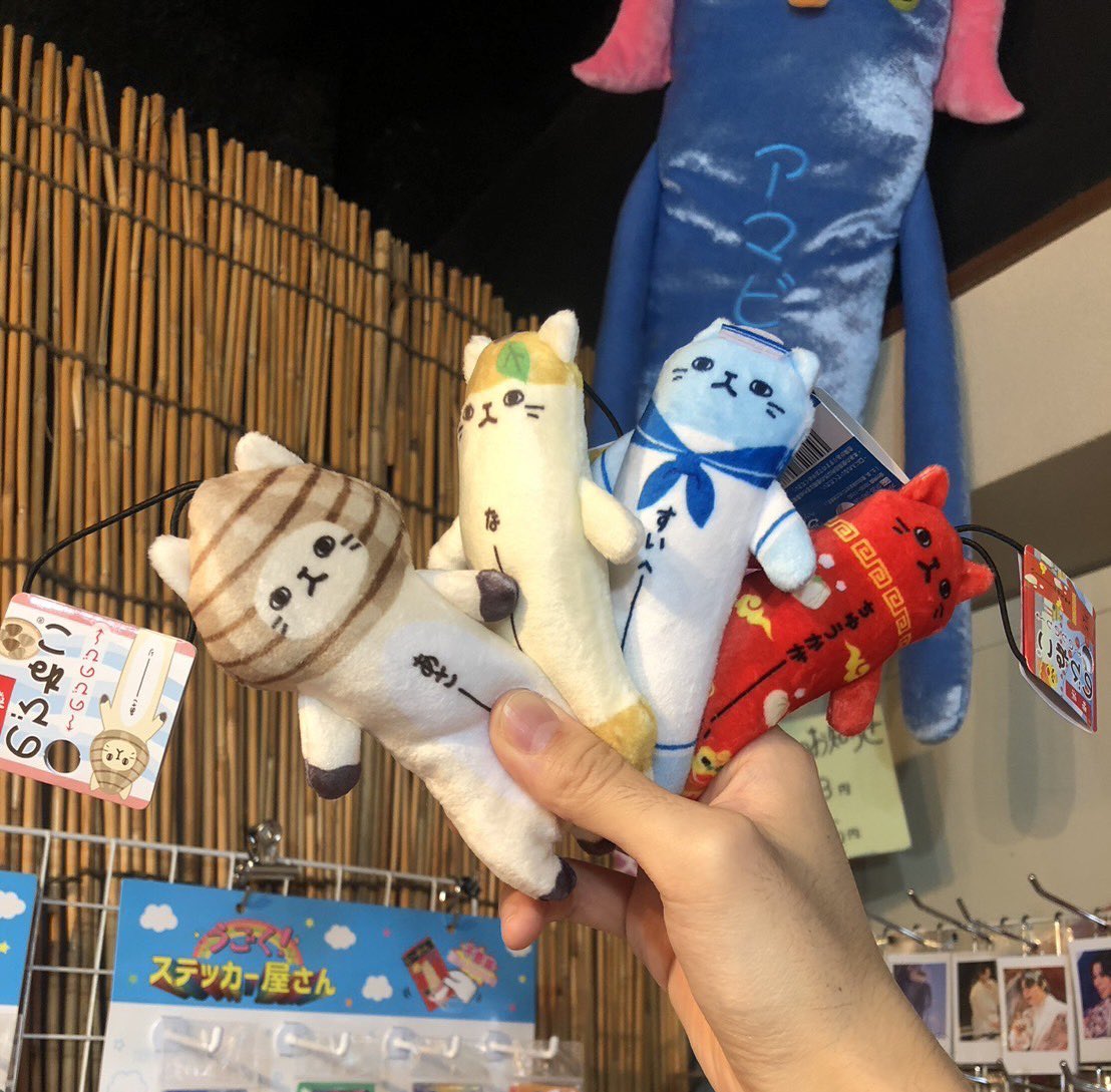 今週も新しいご当地のびねこが入荷しました‼️ 全部で4種類🎵 🟡千葉