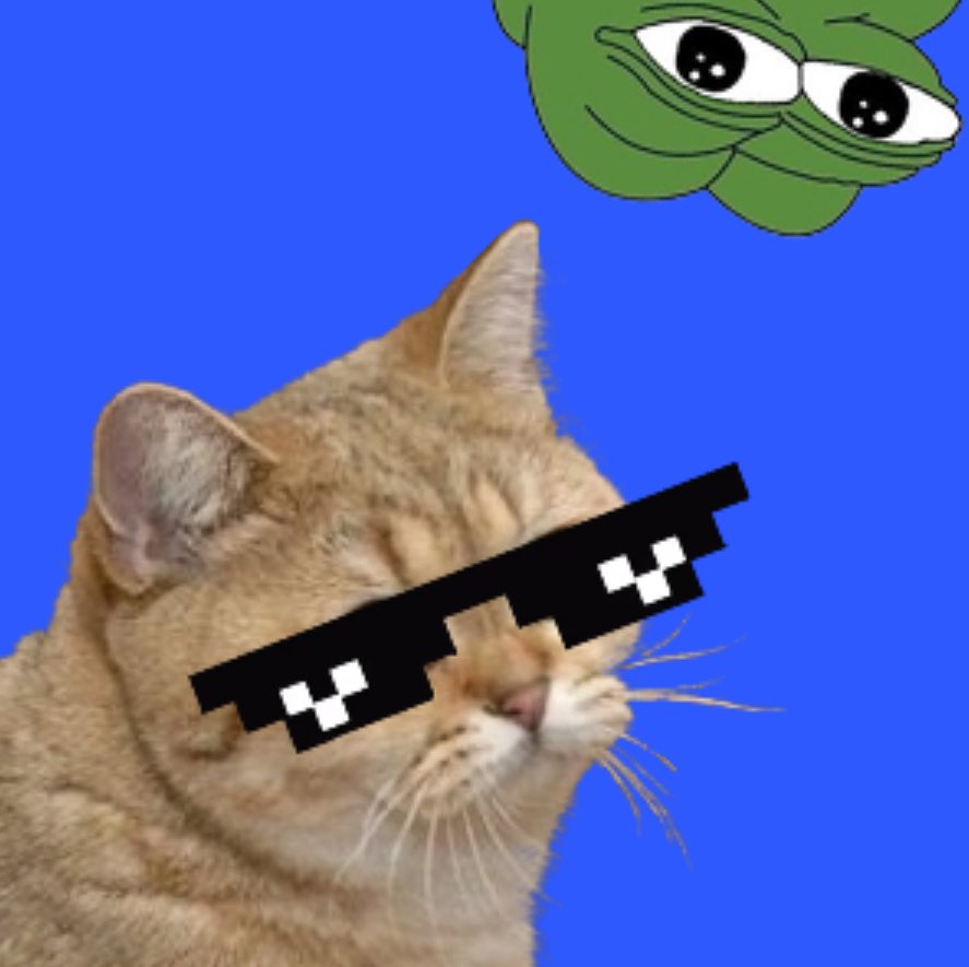 StarecatHelia's tweet photo. @metaversejoji ONLY REAL CHAD MOVE IS FULL CLIP INTO $HELIA!!! https://t.co/qCJPOBg5p0