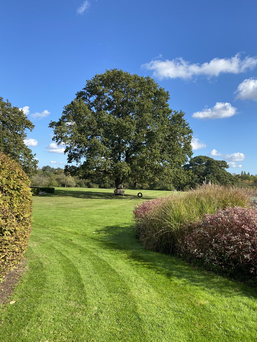 Glorious day in sunny Essex but all the layers were on this morning 🥶… winter is coming