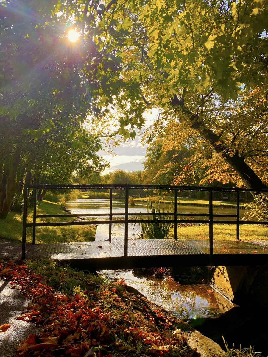 Sniff Sigh Yawn Breathe tweet media