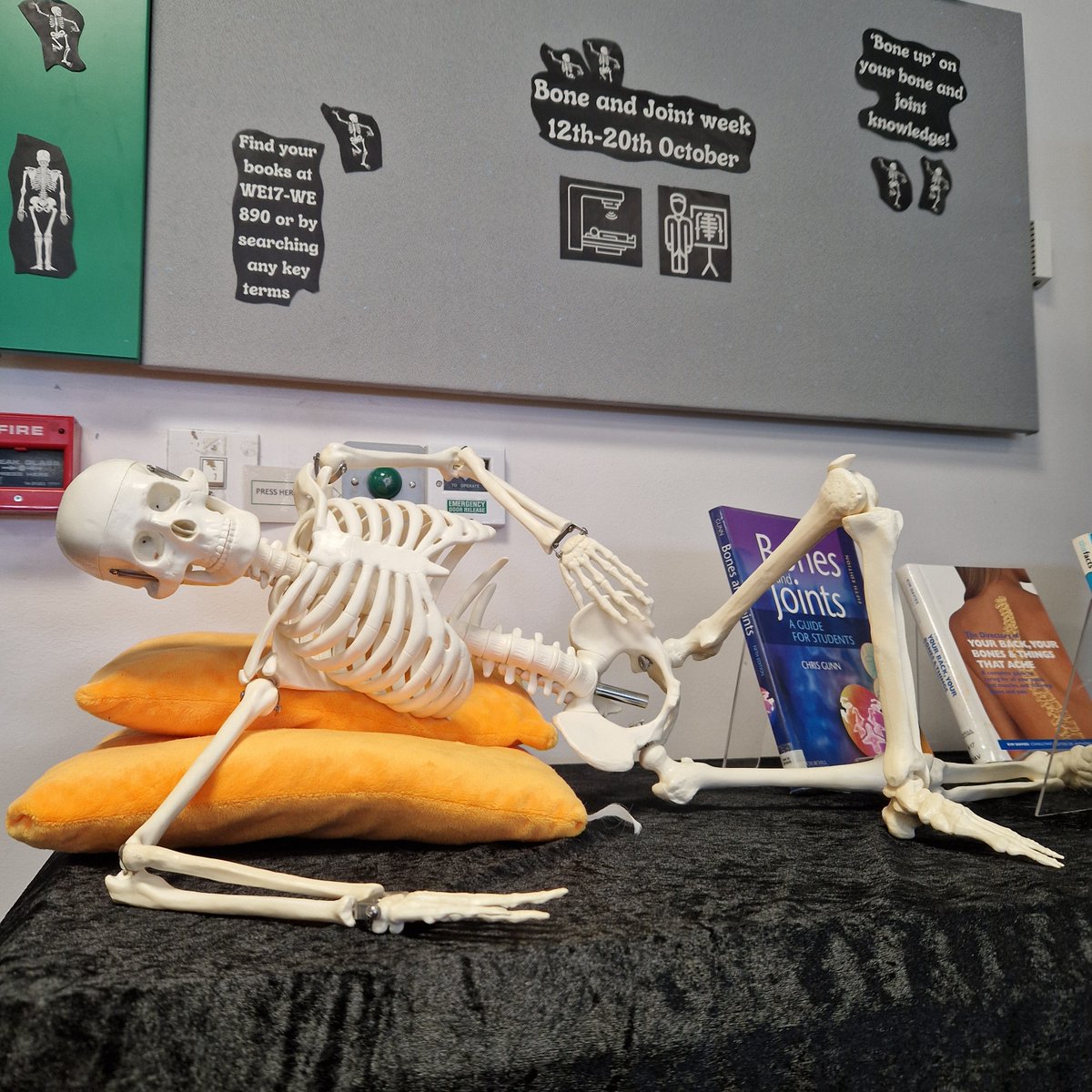 Did you miss him? 💀

🦴 Bony Tony is back for Bone &amp; Joint week 12th - 20th October 🦴

Come &amp; admire Bony Tony &amp; check out our books on Bone &amp; Joint health!