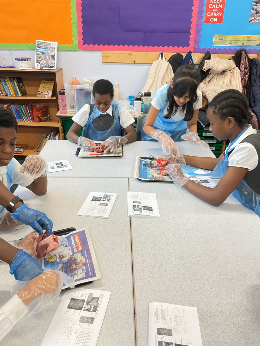 St. Joseph's CPS, Hunslet tweet media