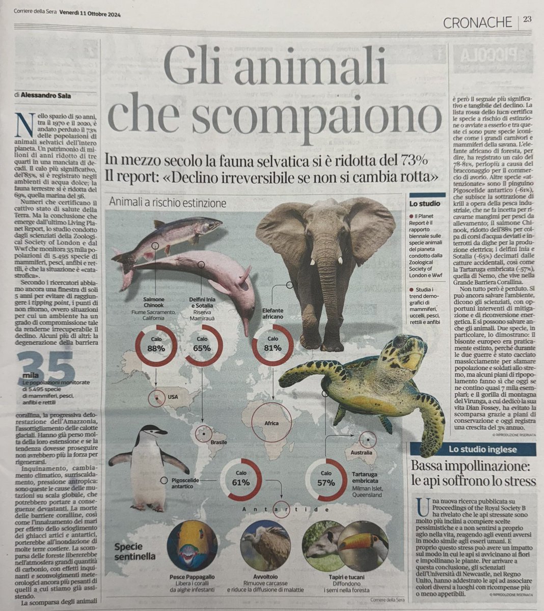 In mezzo secolo la fauna selvatica si è ridotta del 73%. Secondo i ricercatori della Zoological Society of London e dal <a href="/WWF/">WWF</a> abbiamo 5 anni per evitare di raggiungere il punto di non ritorno.
Oggi su <a href="/Corriere/">Corriere della Sera</a> un’interessante articolo di Alessandro Sala.

#ambiente #natura
