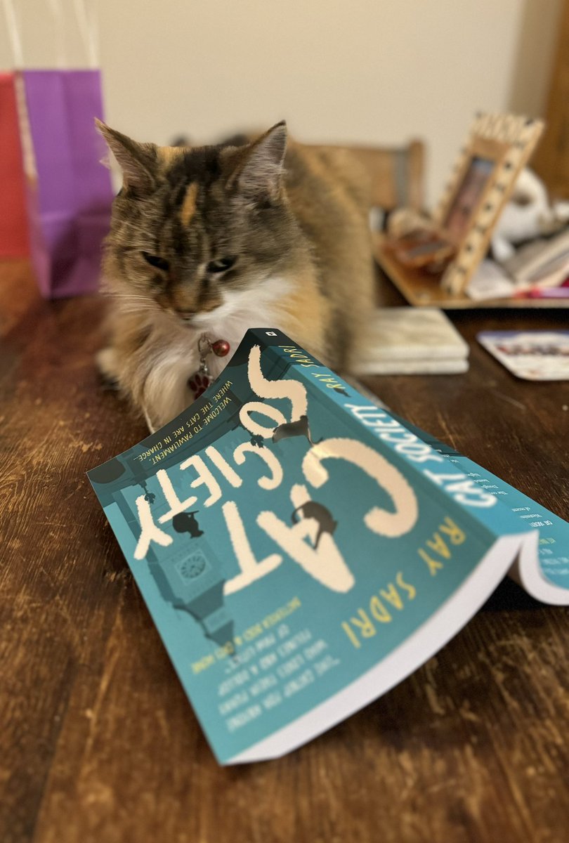 Mads. Taking a break from reading about her stunning ballet performance at the Midnight Moon Dance. 

In Cat Society, the witty feline political by Ray Sadri, out now and available from all good bookshops 🐈‍⬛📚

#CatSociety #cats #Friday #CatsLover #CatsofTwittter #books