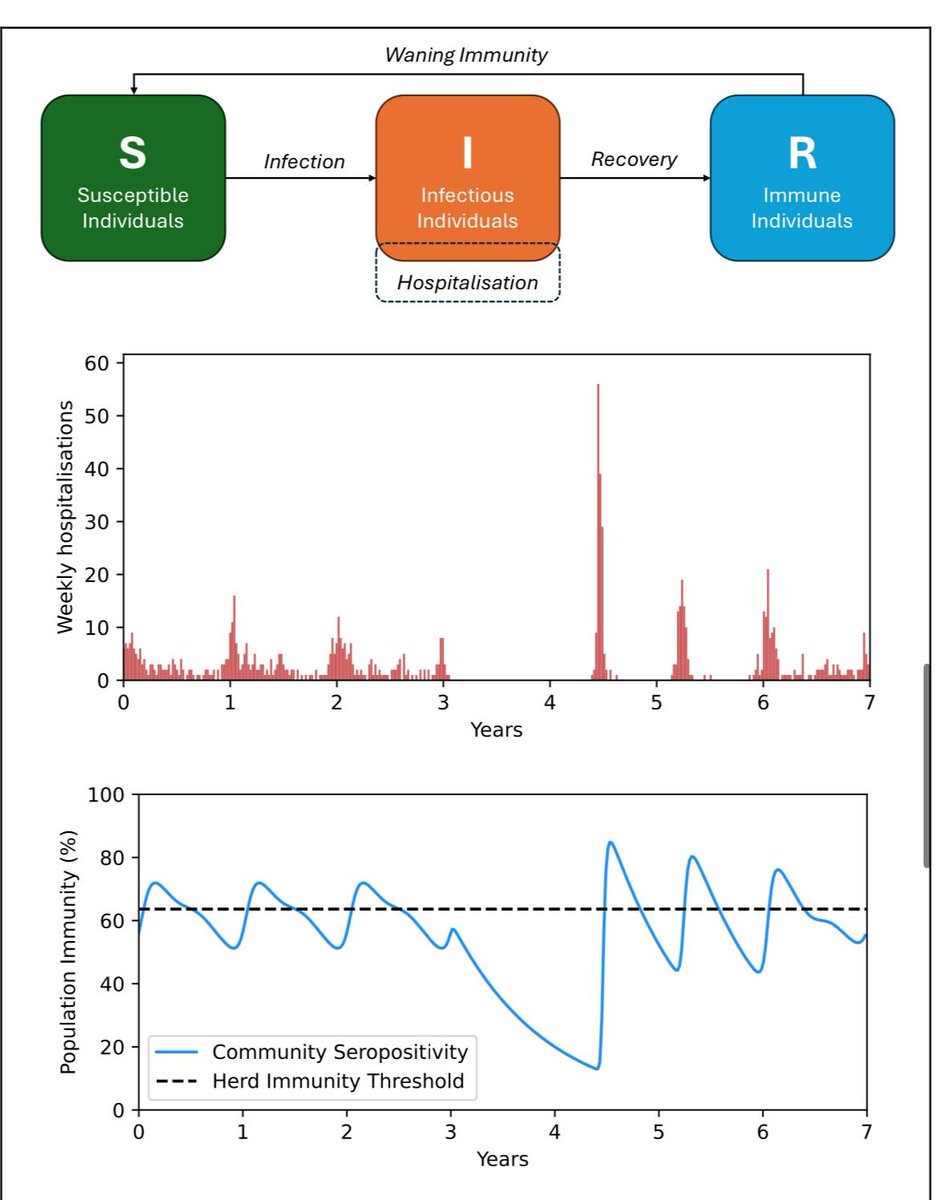 apsmunro's tweet image. New article from me and @TAH_Sci 🔥 

On what immunity debt actually means, and why it alone is sufficient to explain disturbances in seasonal communicable disease dynamics post pandemic

academic.oup.com/cid/advance-ar…