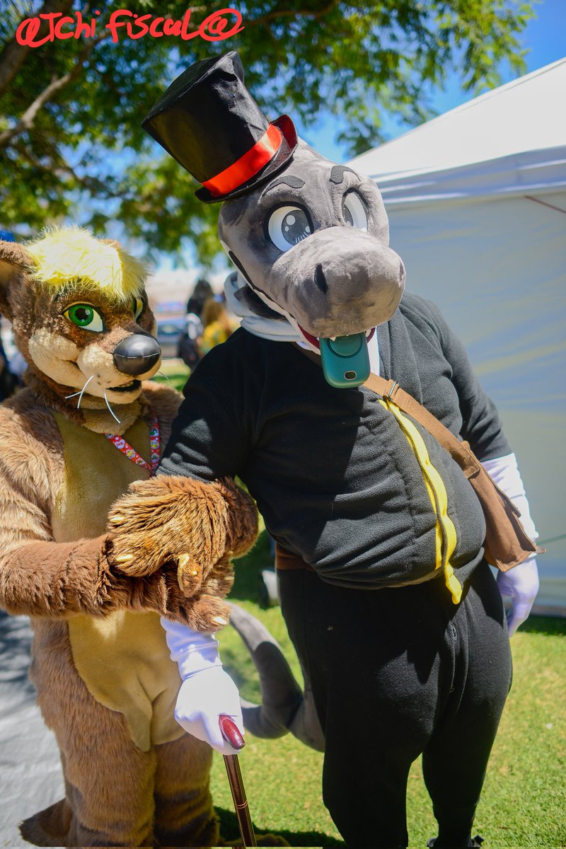 Welcom to otter scouts, today we will be helping sharks in tuxedos cross the street. 

#FursuitFriday 

<a href="/CaptGarreth/">Capt. Garreth</a>