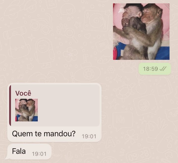 masturbe o cérebro e goze ideias (@diojodior) on Twitter photo 