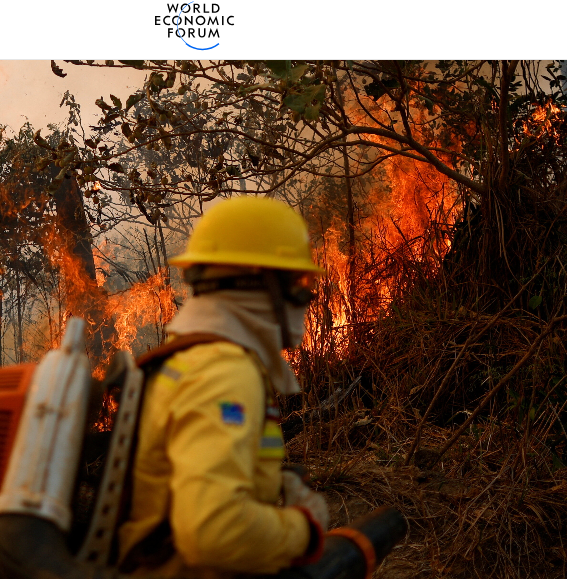 AmazonWWF_UK's tweet photo. The Amazon is close to the point of no return. #COP16  is a critical opportunity to act

Over the past few months, communities in #Amazonia have been living through a ferocious fire season following a period of extreme drought. 
#COP16Colombia 

https://t.co/cwaSJdddn7 https://t.co/grYjFUjFGf