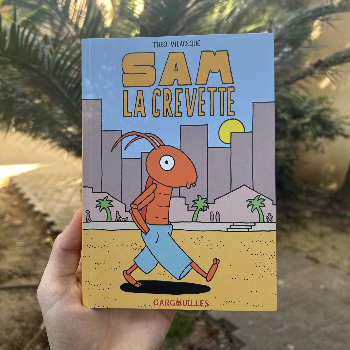 Theo Vilaceque tweet media