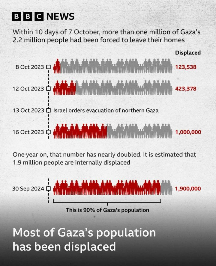 Pascal T tweet media