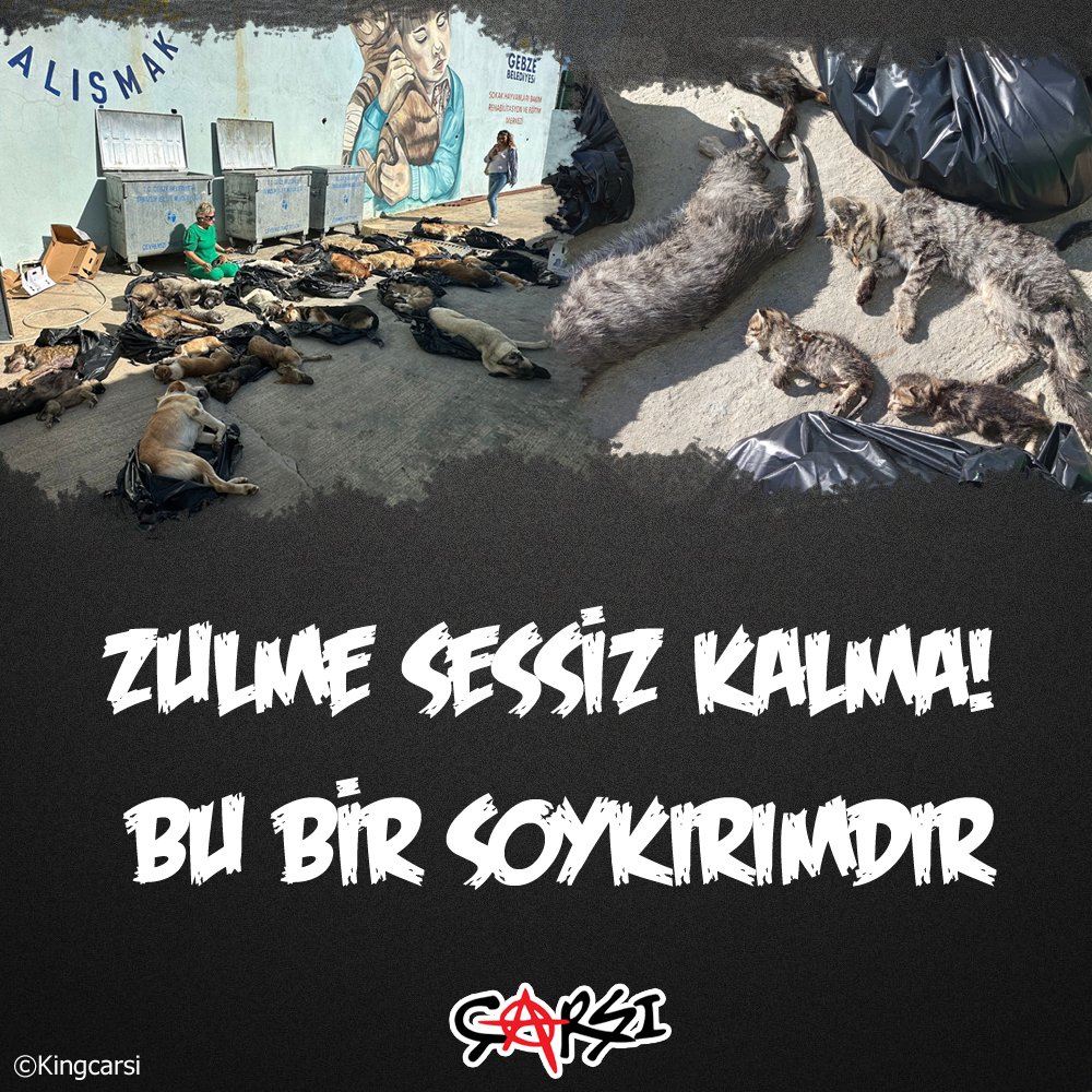 BU BİR SOYKIRIMDIR