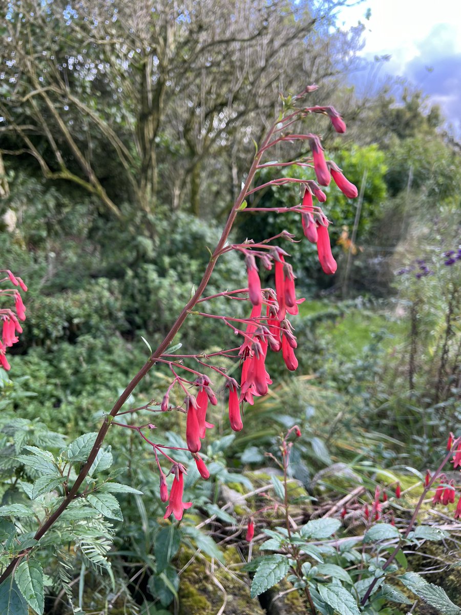 Jack Wallington tweet media