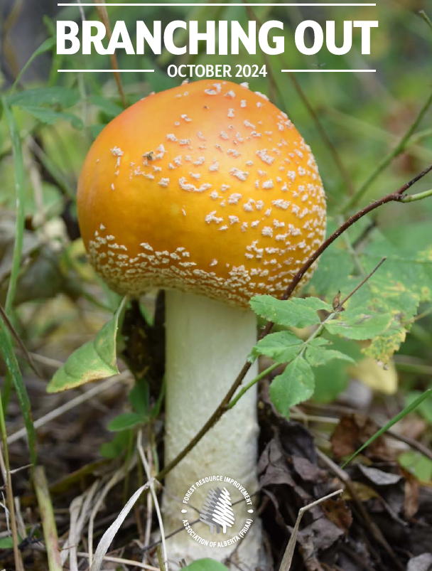 Forest Resource Improvement Association of Alberta tweet media