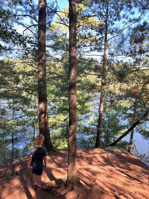 WGNHS's tweet image. This fall, #GetOutdoors at Mirror Lake State Park! This area just south of the Dells has many hiking trails, boat rentals, and even a supper club! The beautiful sandstone bluffs are beach deposits from 500 million years ago (!) that were shaped by rivers during the last ice age.