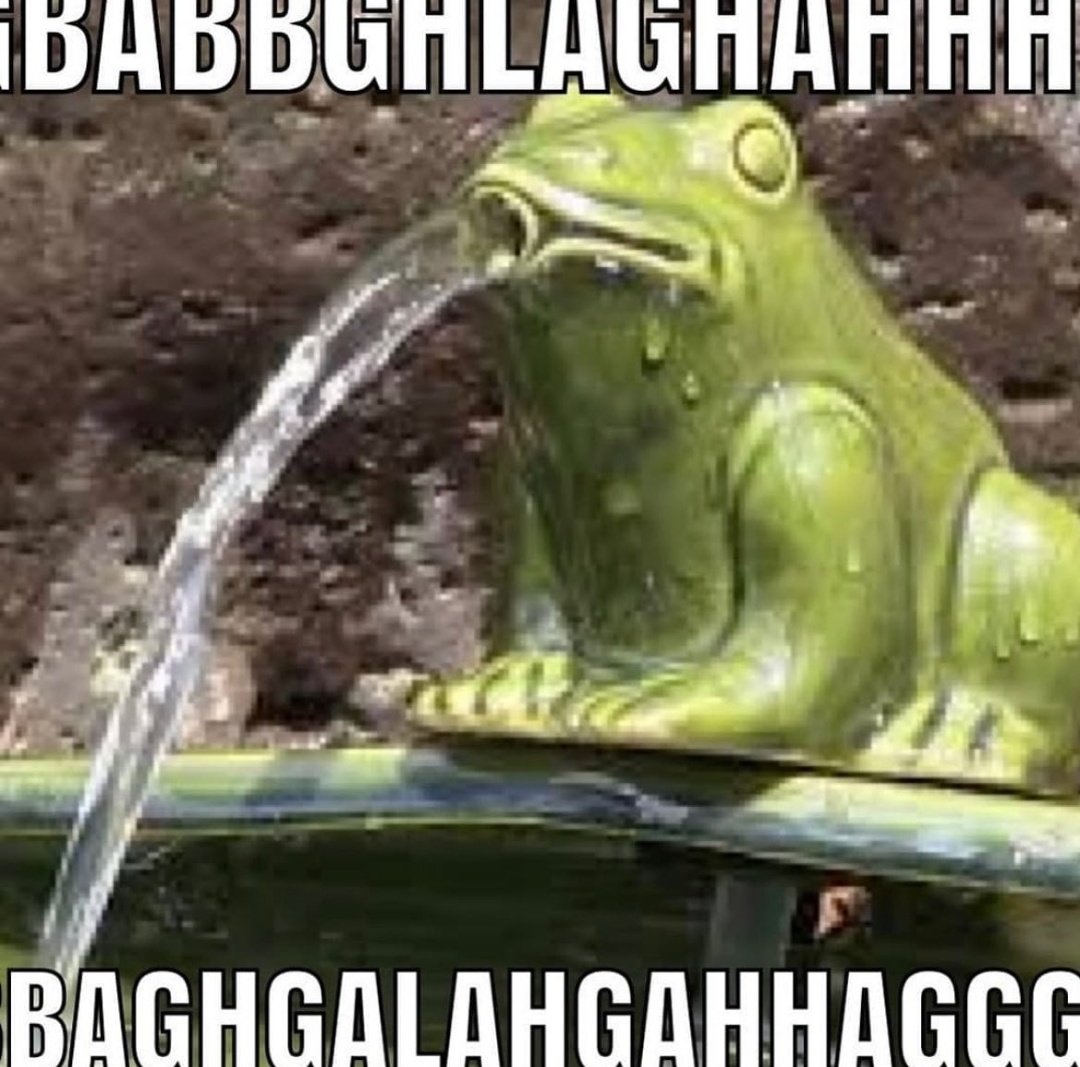 No Context Frogs (@nocontextfrogs) on Twitter photo 