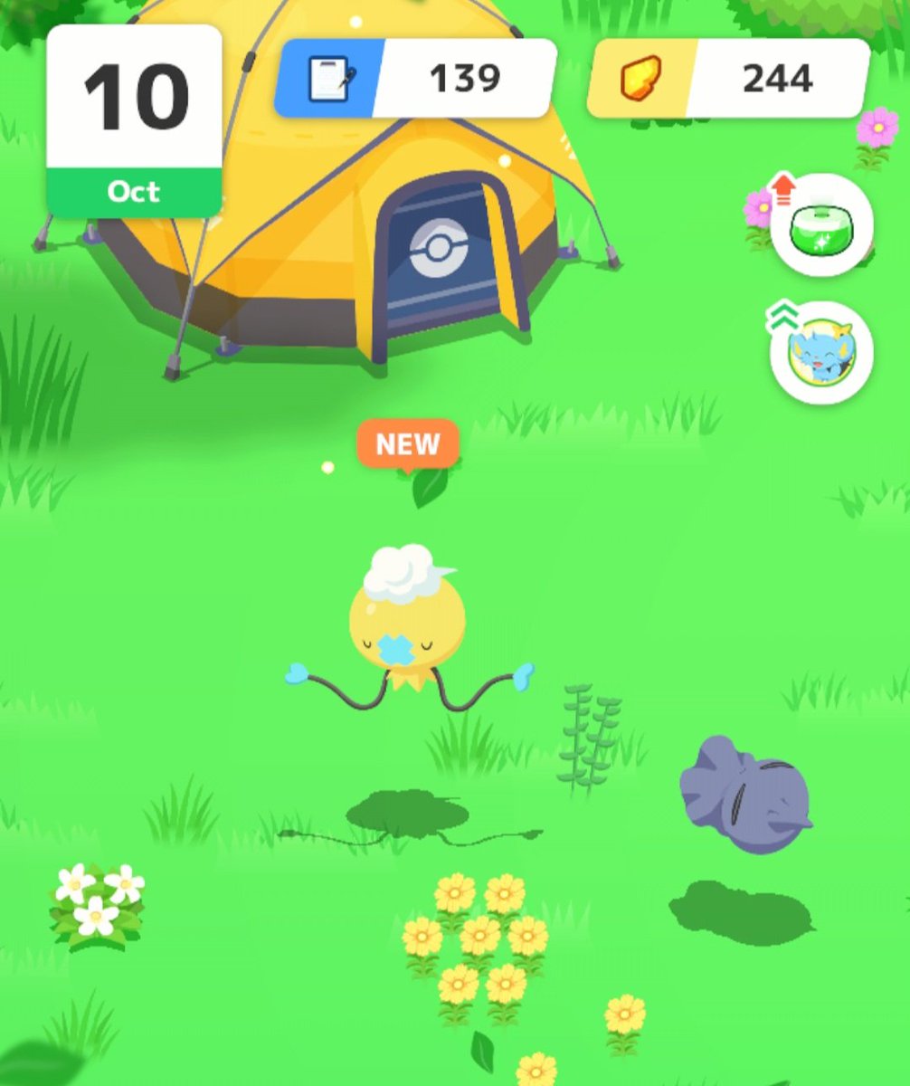 mysterycapsule's tweet photo. 🥰🎈🎈🎈
#ポケモンスリープ  
#金曜日のフワンテ https://t.co/3R6d2LgwFH