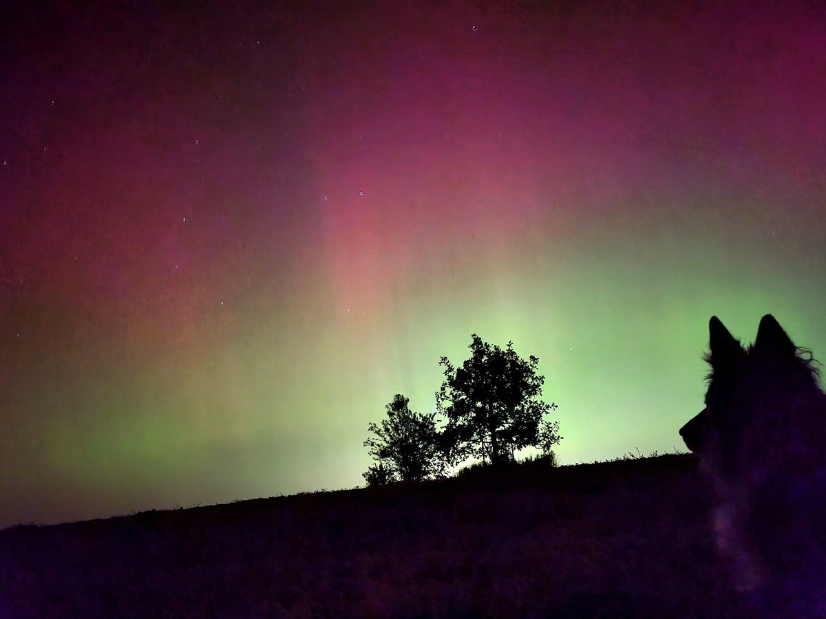 Megan7965's tweet photo. @hunterhurleywx First and Second Substorm (ft. My Aurora partner in crime, Duke) https://t.co/YNRGMObzLv