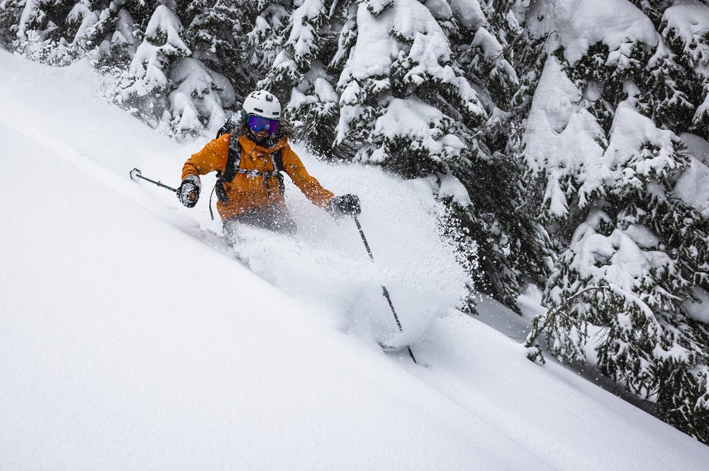 Pure bliss on snow
•
•

#ski #skiing #skis #powder #mountains #adventure #winter