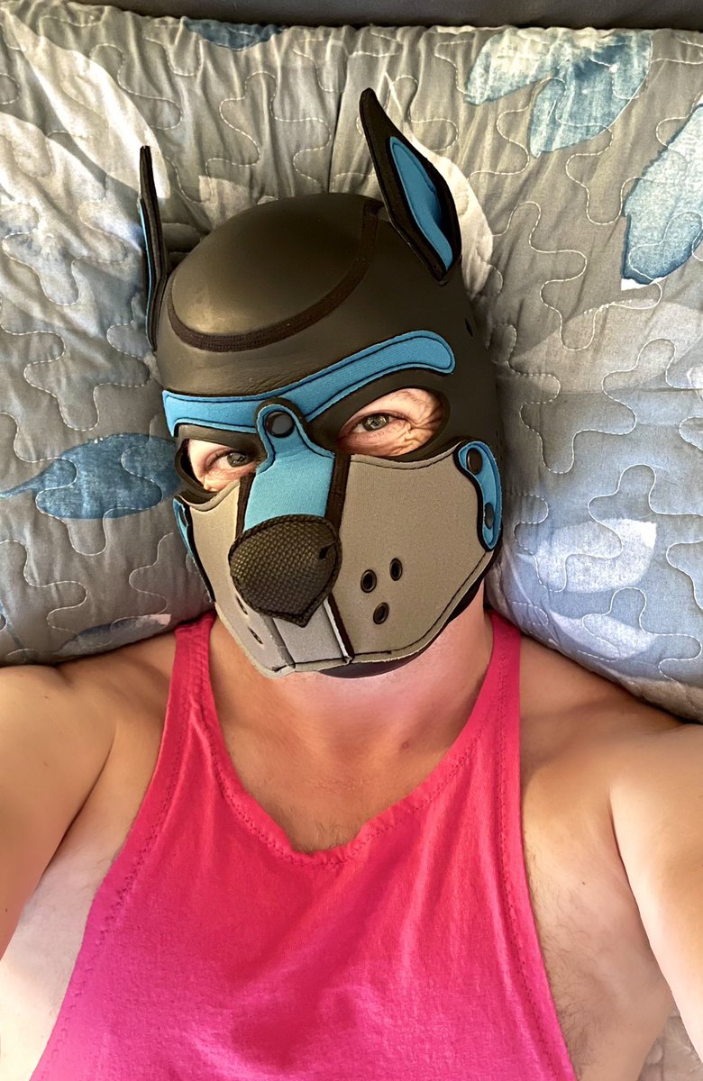 Pup Roger tweet media