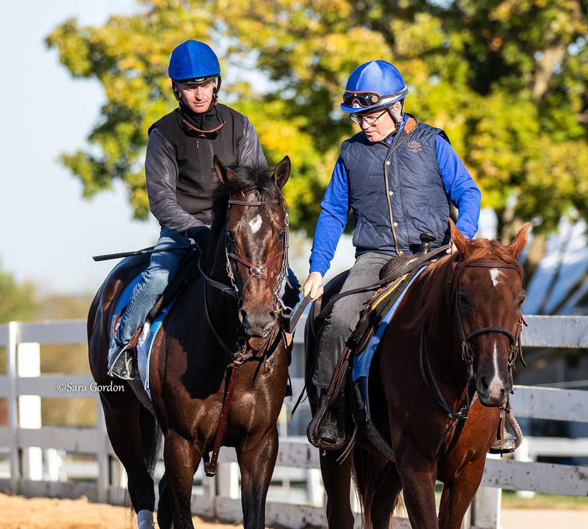 East Avenue (Medaglia d'Oro), brilliant winner of the GI Claiborne Breeders' Futurity this past Saturday, looking a picture Thursday morning at Keeneland 🌟 Ridden by exercise rider <a href="/KillianHennessy/">killian hennessy</a>, accompanied by trainer <a href="/brenpwalsh/">brendan walsh</a> on the pony.