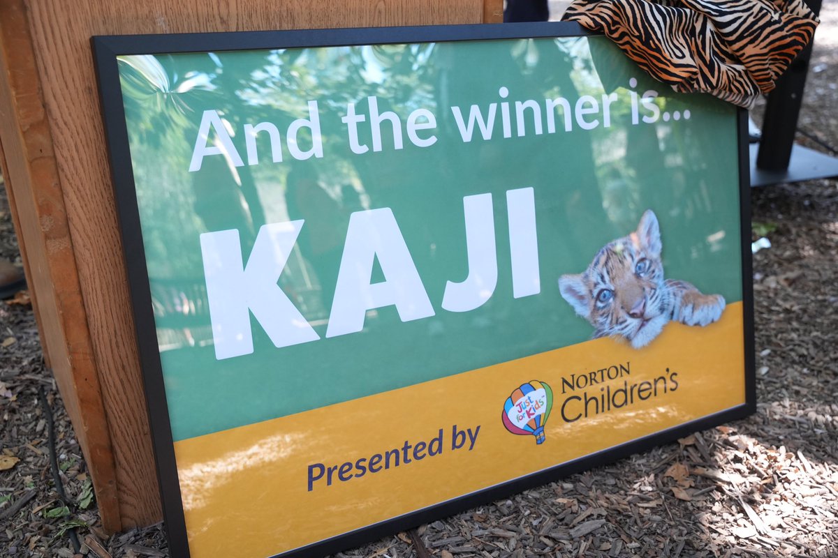 Mayor Craig Greenberg tweet media