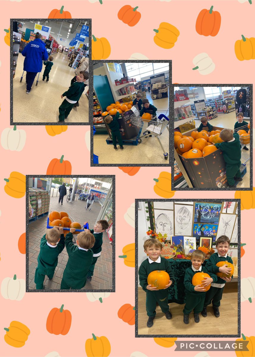 Today some of our reception children visited Tesco with Mrs Limbert and Mrs Opolli to collect some pumpkins.  A huge thank you to Donna, the Community Champion for donating pumpkins for our very own pumpkin patch.