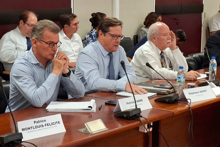 Ci-dessous les représentants de la grande distribution aux négociations martiniquaises sur la vie chère.
Une photo vaut parfois mieux qu'on long discours.