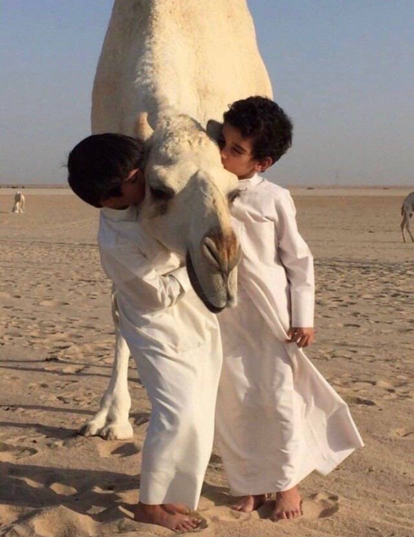 تحبها حتى الهبايب والسحاب
والي معه قلب لبيب .. يحبها