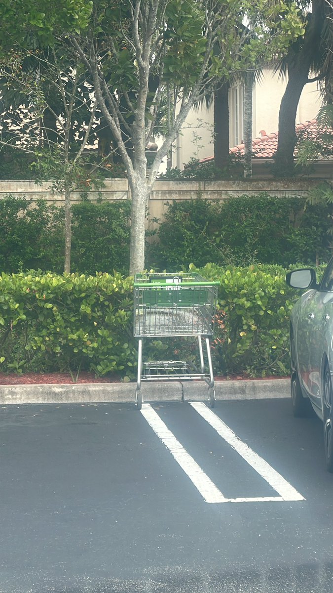 First post in years: LOL @ the perfectly healthy woman in workout clothes shopping at Publix who can’t be bothered to walk her cart back to the store, or even to a cart rack, instead choosing to leave it on the curb next to someone’s car. Don’t worry, I’ll do it for you.