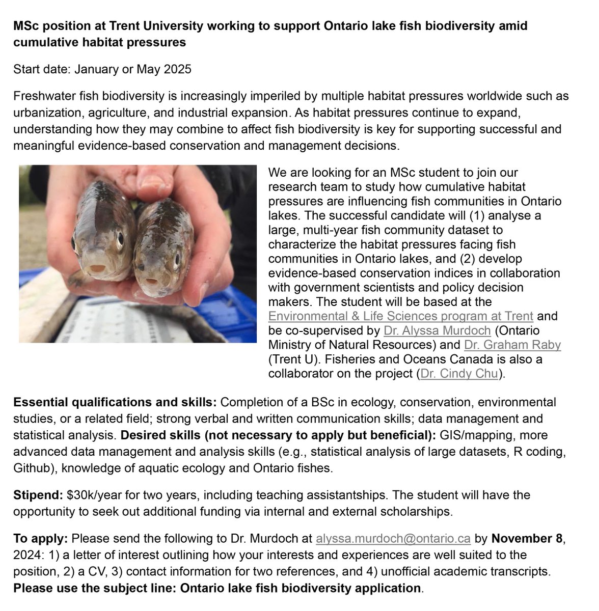 Dr. Alyssa Murdoch (@alyssa_murdoch) on Twitter photo Come work with me and some great folks at Trent (<a href="/graham_raby/">Graham Raby</a>) and DFO! Applications will be received until Nov 8. Come work with me and some great folks at Trent (<a href="/graham_raby/">Graham Raby</a>) and DFO! Applications will be received until Nov 8.