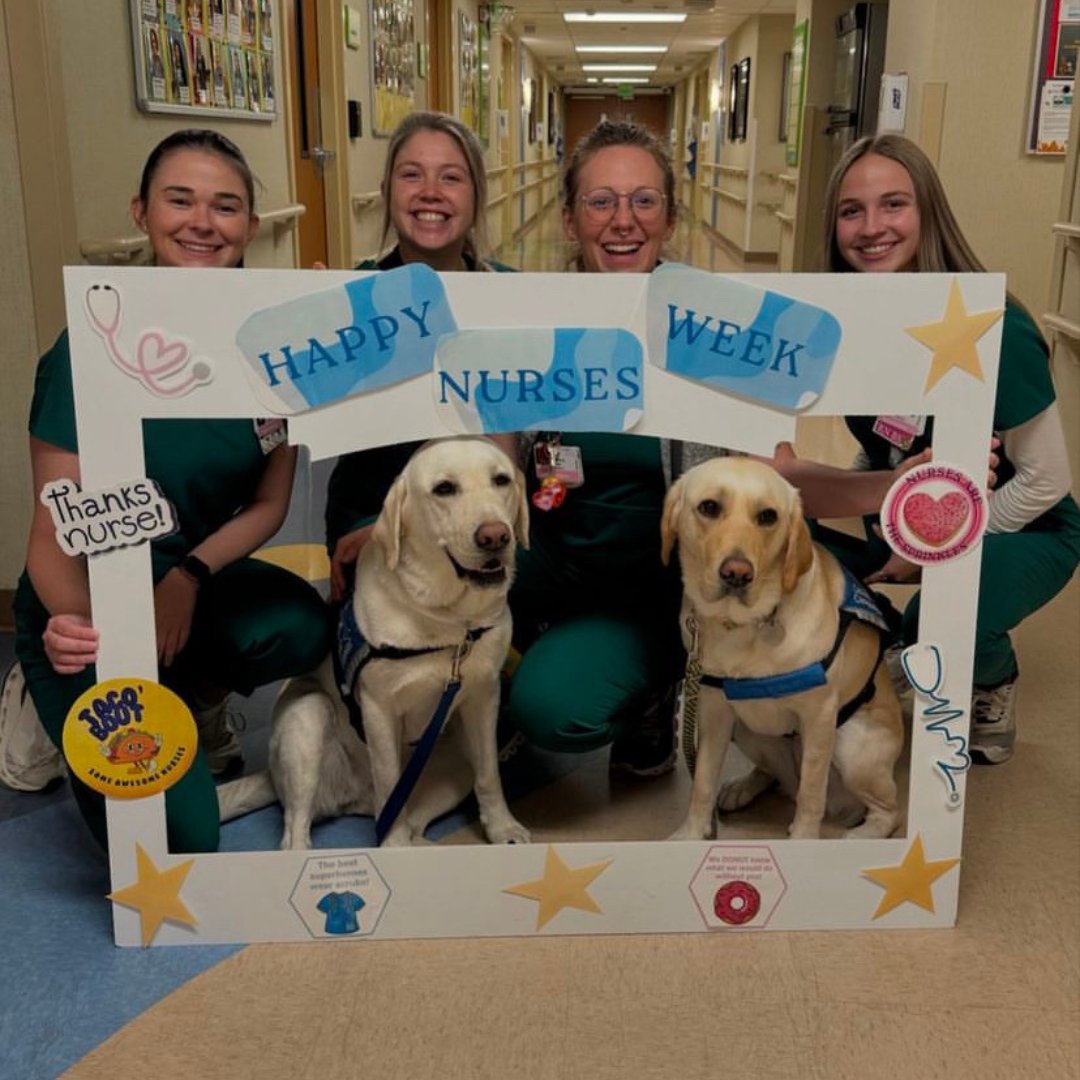 This week was Pediatric Nurses Week!🩺 Posey and Lemon had the chance to spend time with some of the incredible nurses at Rocky Mountain Children’s, spreading joy and appreciation in honor of their tireless work. ❤️