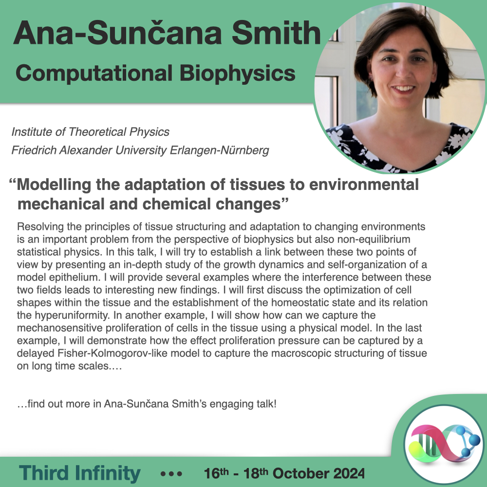 Third Infinity (@3rdinfinity2024) on Twitter photo Adaptation of tissue to its environment is a necessary mechanism of life and, at the same time, an interesting problem in statistical physics. Ana-Sunčana Smith will show us how the combination of biophysics and non-equilibrium statistical physics leads to interesting findings. Adaptation of tissue to its environment is a necessary mechanism of life and, at the same time, an interesting problem in statistical physics. Ana-Sunčana Smith will show us how the combination of biophysics and non-equilibrium statistical physics leads to interesting findings.