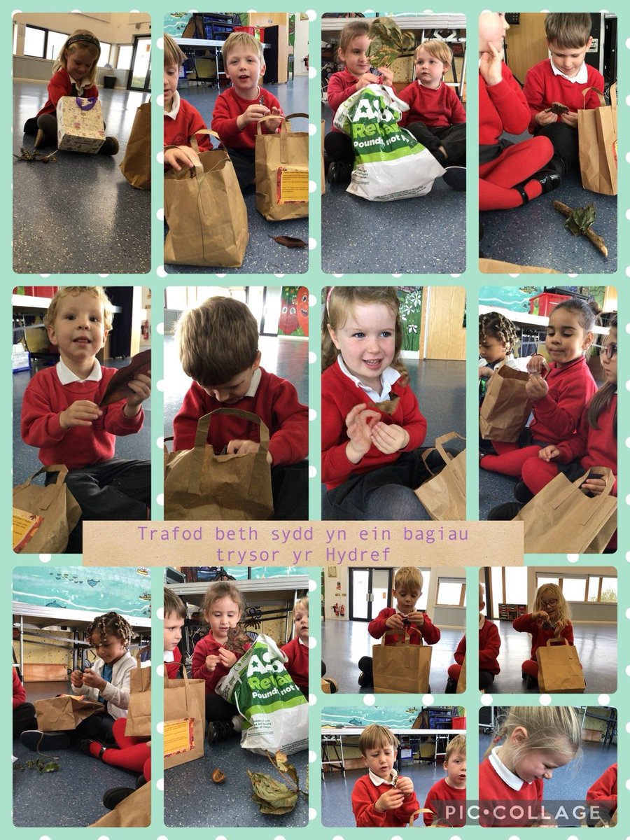 Ysgol Gymraeg Croesgoch tweet media