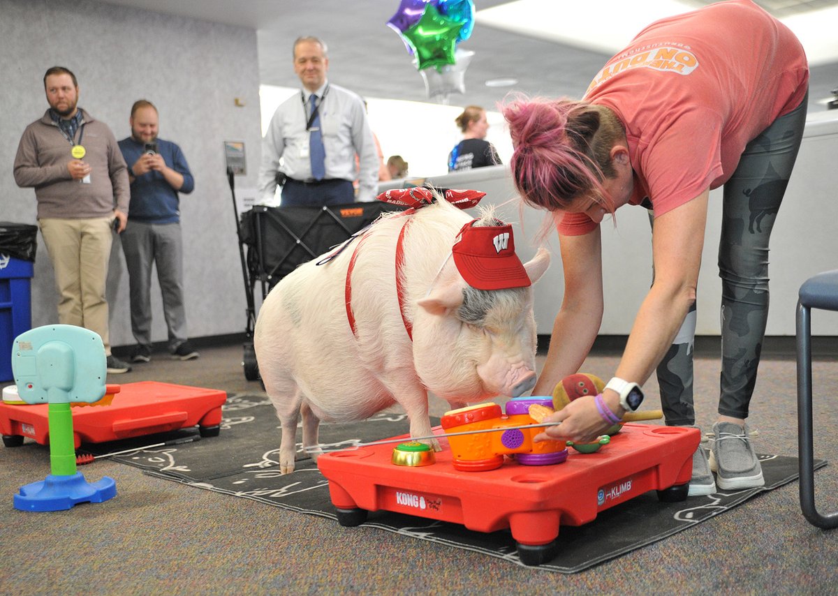 WI Department of Corrections tweet media