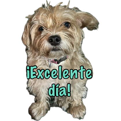 asanadistancia's tweet photo. Siiii los perros nos ayudan a nuestra salud mental.
“Éxito sin agobio: rompiendo el mito del triunfo sin sacrificar tu salud mental” - Ing. Karla Ávalos S @PrisAvs
#ElEspacioylaMenteNoDiscriminan #EMND #EMND24
#SME #SMEMx #WSW
#UACM #CL https://t.co/j2oHsPW4FK
