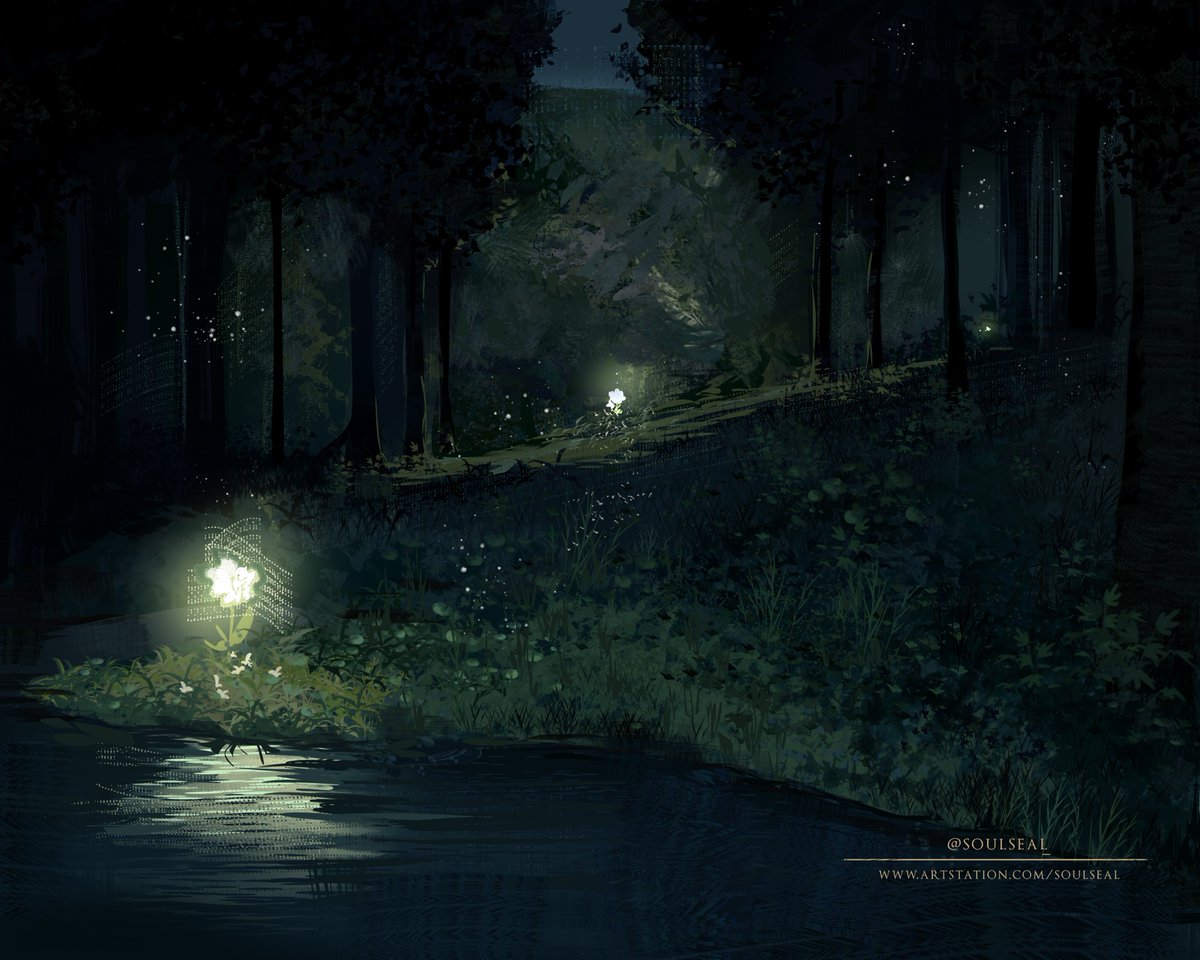 adorra 🦭 tweet media