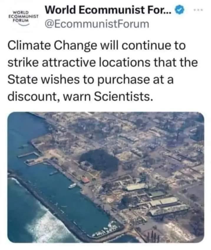 Sal the Agorist (@sallymayweather) on Twitter photo 