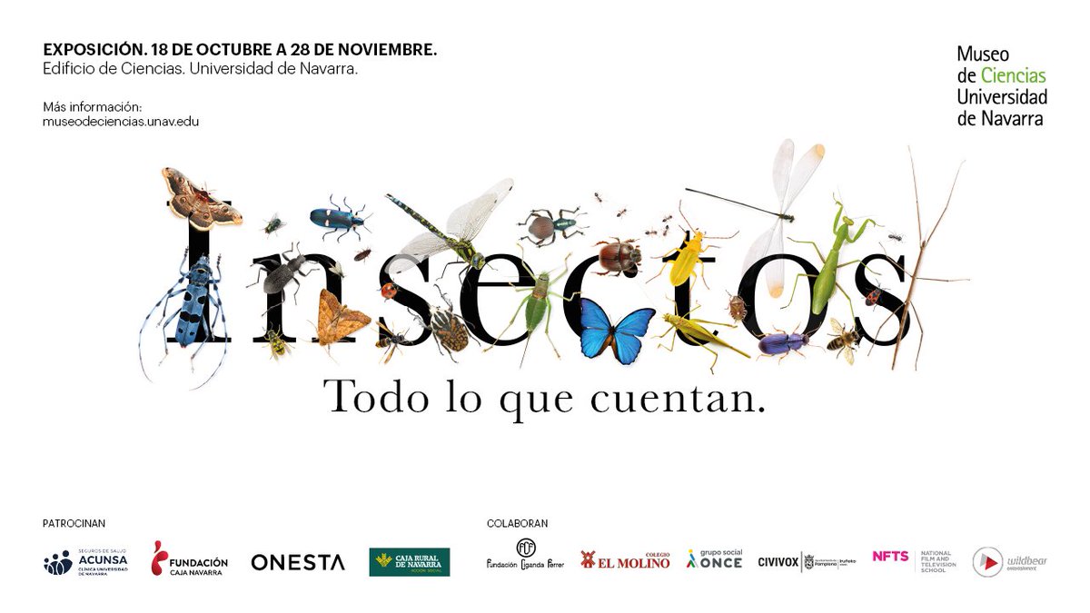 museoCCNN_unav's tweet photo. El 18 de octubre inauguramos "Insectos. Todo lo que cuentan". Gracias al Colegio El Molino y @GrupoSocialONCE, se trata de una exposición accesible e inclusiva, con paneles de lectura fácil y talleres adaptados a necesidades educativas especiales.
👉 https://t.co/v999U9PwS3 https://t.co/nASOsY0FUg